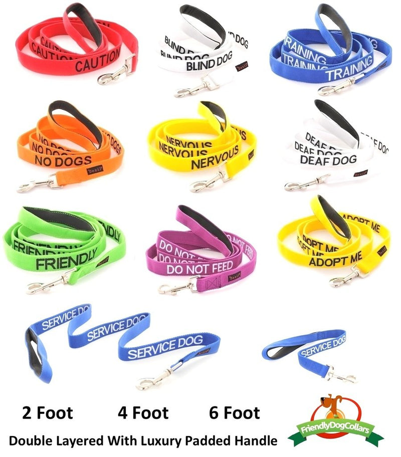 Dexil Limited Friendly Green Color Coded S-M Buckle Dog Collar (Known As Friendly) Prevents Accidents by Warning Others of Your Dog in Advance - PawsPlanet Australia