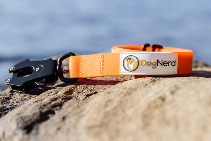 6FT Silicone Heavy Duty No Pull Tactical Dog Leash - Quick Release/Locking Carabiner for Medium & Large Breeds - Waterproof Durable Strong Training Leash (6 FT, Orange) 6' Blaze Orange - PawsPlanet Australia