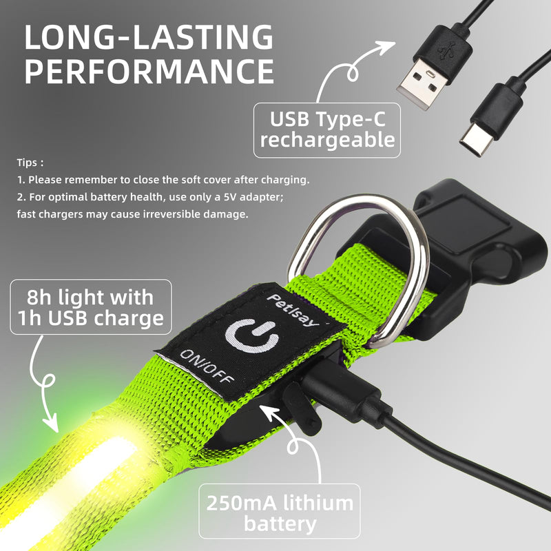 Super Bright LED Dog Collar - Fully Waterproof & Adjustable Glow Collar - USB-C Rechargeable for Night Walking, Safety - Flashing Lighted Collar for Dogs(Green,Medium) Medium (14.5" - 19.5" ) Green - PawsPlanet Australia