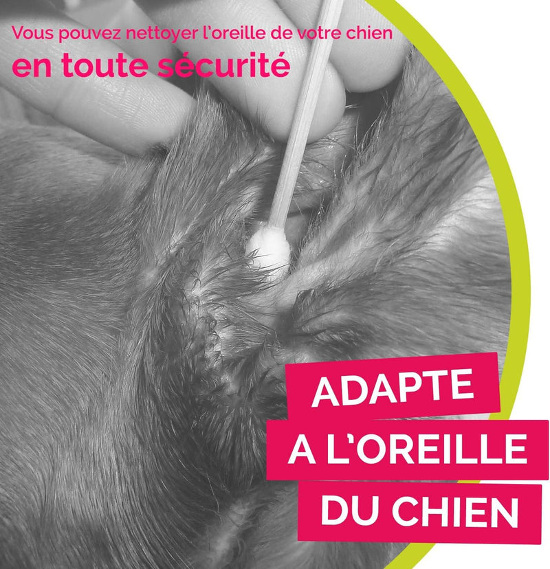 Bamboo Cotton Buds for Small Dogs and Cats (50 S/M Buds) - Safe and Easy Ear Wax Removal - Designed by French Vet 1