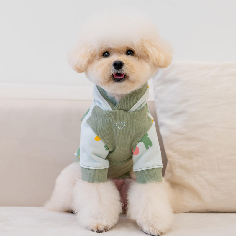 Pinkaholic New York Ebba Winter Hooded Shirts Cute Bunny Pattern for Small and Medium Dogs, Light Mint, Medium Lt.Mint - PawsPlanet Australia