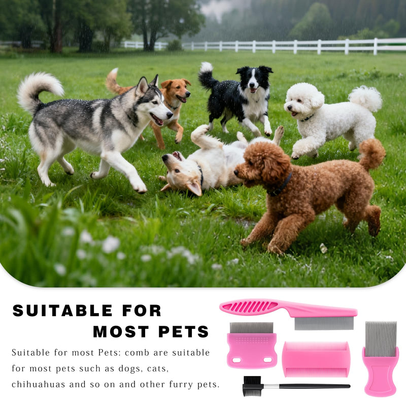 Flea & Lice Combs for Pets – Fine-Tooth Stainless Steel Grooming Set, Dematting Tools for Dogs and Cats – 5 Pack