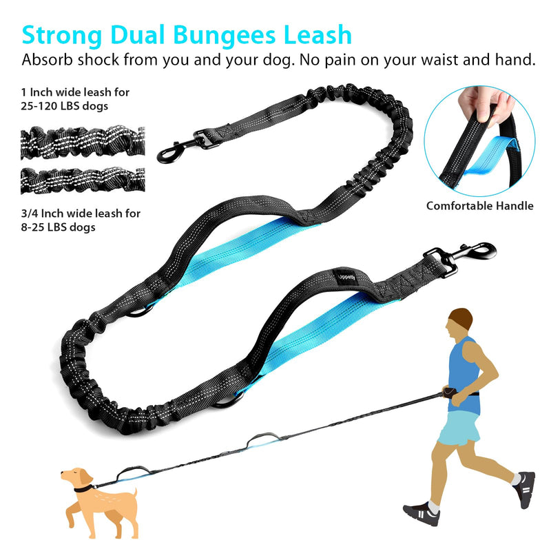 Hands Free Dog Running Leash with Zipper Pouch, Dual Handle, Elastic Bungees Retractable Rope for Medium and Large Dogs, Waist Bag Pack Carry Phones for Walking Hiking Biking (Large, 25-120lb) 1 dog/Blue - PawsPlanet Australia