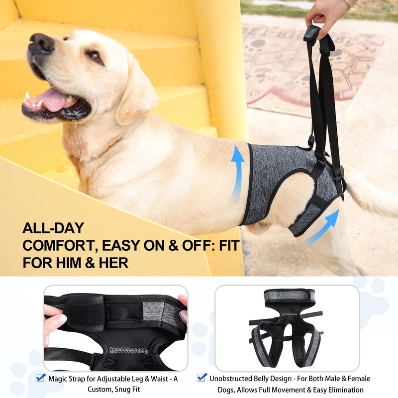 Dotoner Dog Lift Harness, Adjustable Support Sling for Back Legs, Adjustable Carrier for Injured Disabled Large Medium Small Dogs, Rear Leg Brace Assistance XL Grey