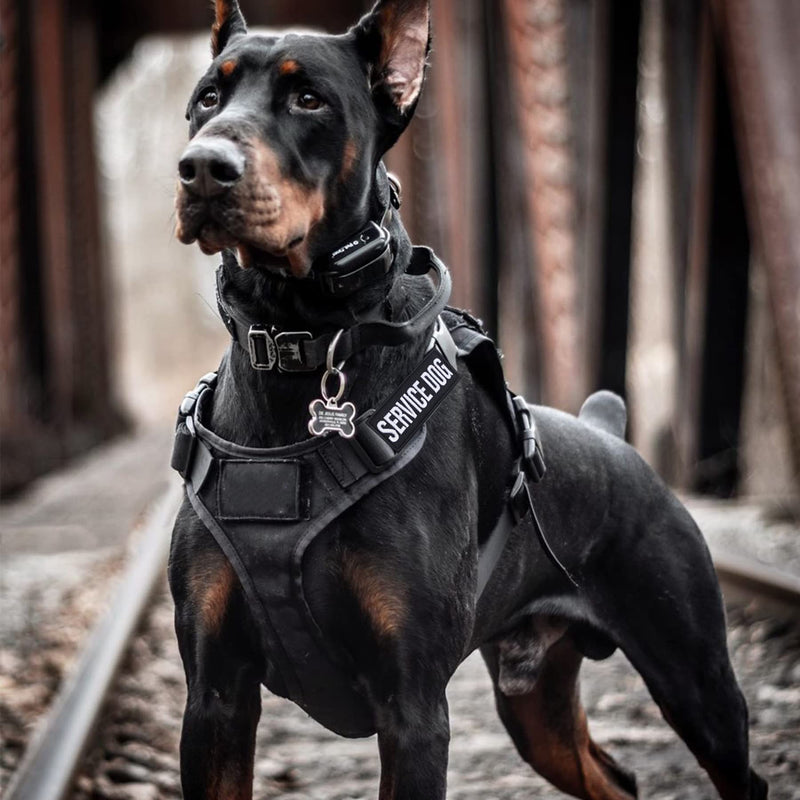 12 Pieces Removable Tactical Dog Harness Service Dog Vest Patches Do Not Pet in Training and Emotional Support Dog Vest Patches(3.6 x 1.6Inch) Black/White - PawsPlanet Australia