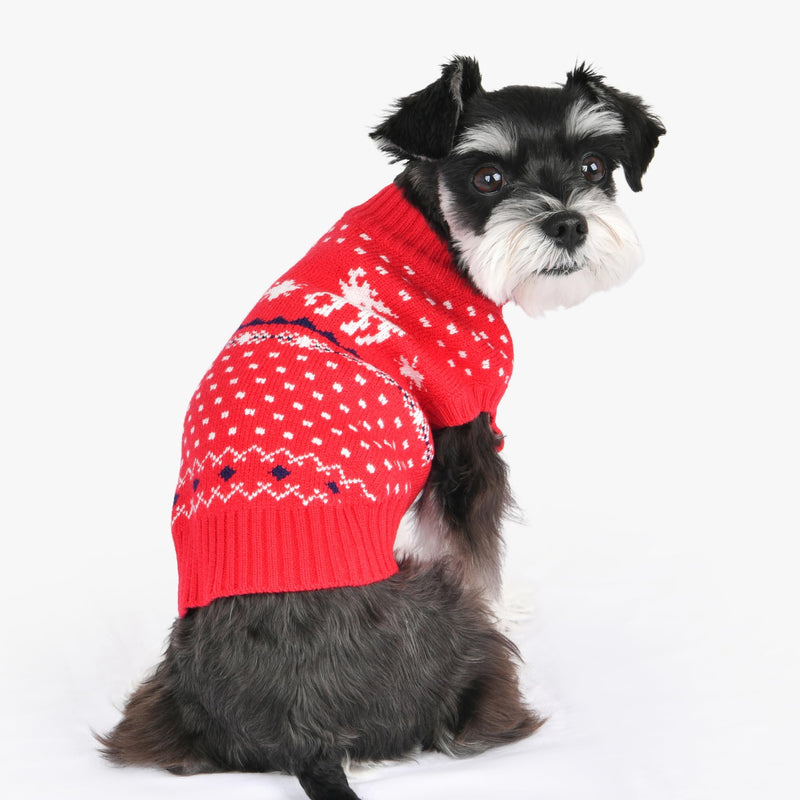 Puppia Dyani Dog Knit Sweater Winter Season for Small and Medium Dogs, RED, Large Red_Dyani - PawsPlanet Australia