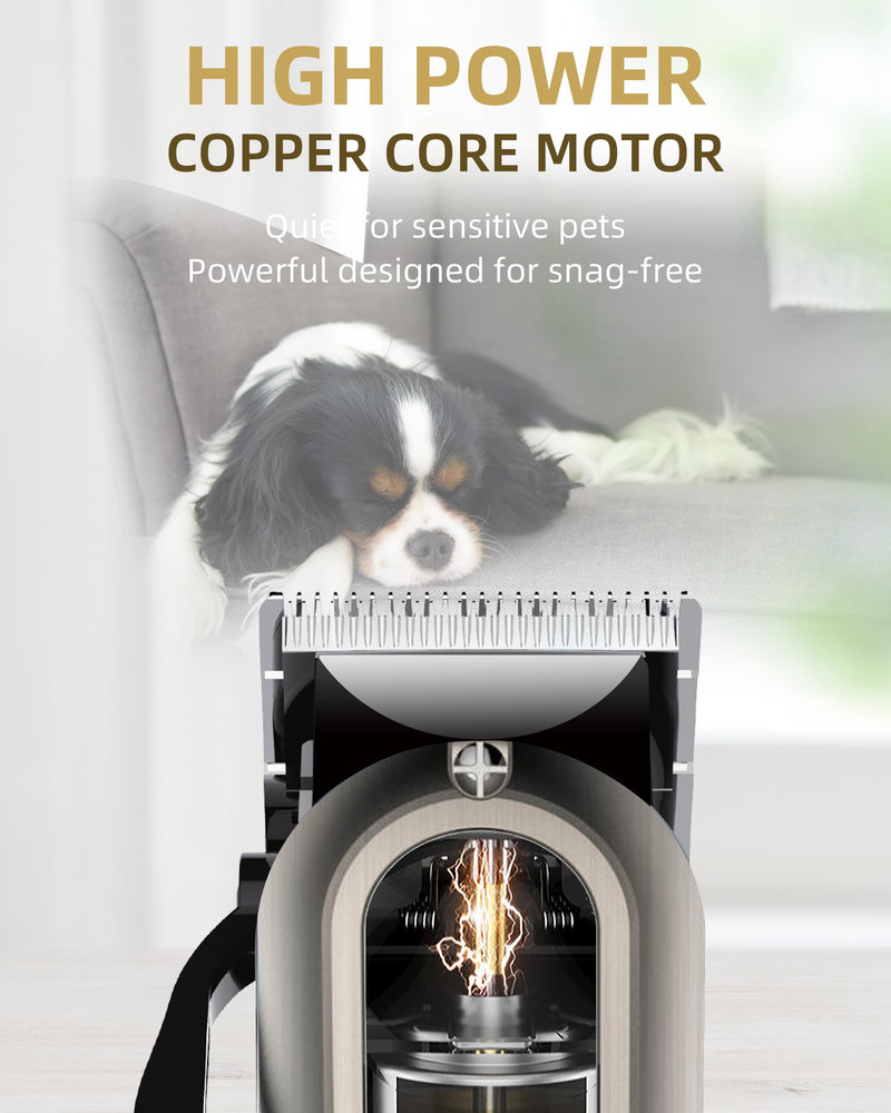 Dog Clippers for Grooming with 12V High Power Plug-in for Thick Heavy Coats Quiet, Pet Electric Professional Hair Grooming Clippers kit with 10 Metal Guard Combs Brush for Dogs Cats Pets (Gold) Gold - PawsPlanet Australia