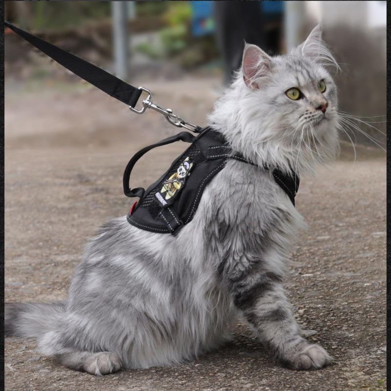 Cat Harness and Leash Set for Walking Escape Proof Adjustable Reflective Large Cat Tactical Harness with Patches Breathable Summer Vest Soft Mesh Padding Handle Easy to Control (Black, M) Black - PawsPlanet Australia