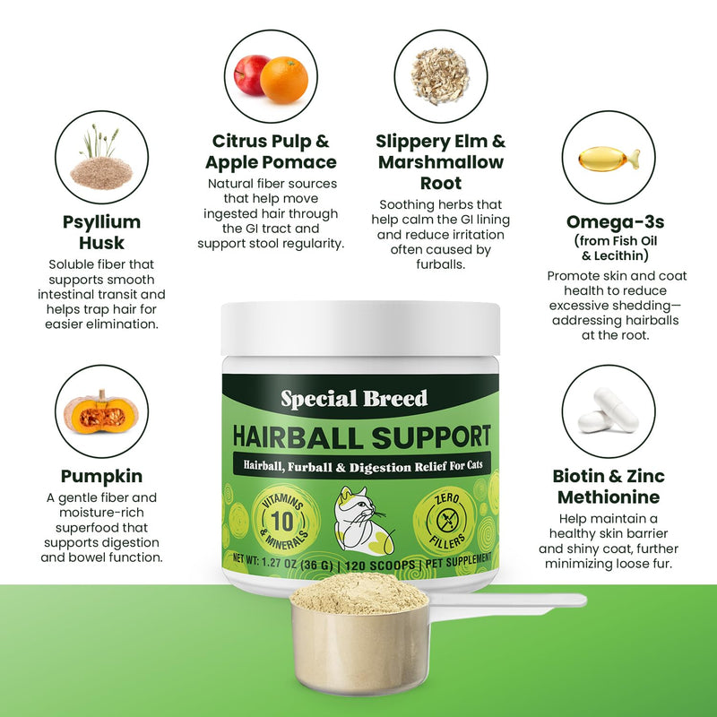Special Breed Hairball Support for Cats - 10 Super Ingredients for Hairball Relief, Digestive Support & Healthy Skin - No Fillers - Psyllium, Pumpkin, Omega-3s & More - 120 Scoops 1.27oz