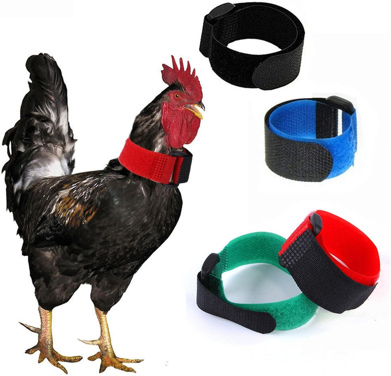 2pcs Rooster Noisy Free Anti-Hook Neckband Collar,Nylon Collar Crow Rooster Collar to Stop Prevent Crowing No,Rooster Supplies Rooster Neck Collar Supplies,Collars (Red) Red - PawsPlanet Australia
