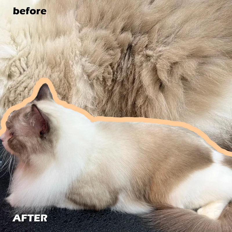 Cat Steam Brushes for Shedding, 4 in 1 Rechargeable Steam Brush for Cats and Dogs,Grooming Comb with Spray - PawsPlanet Australia