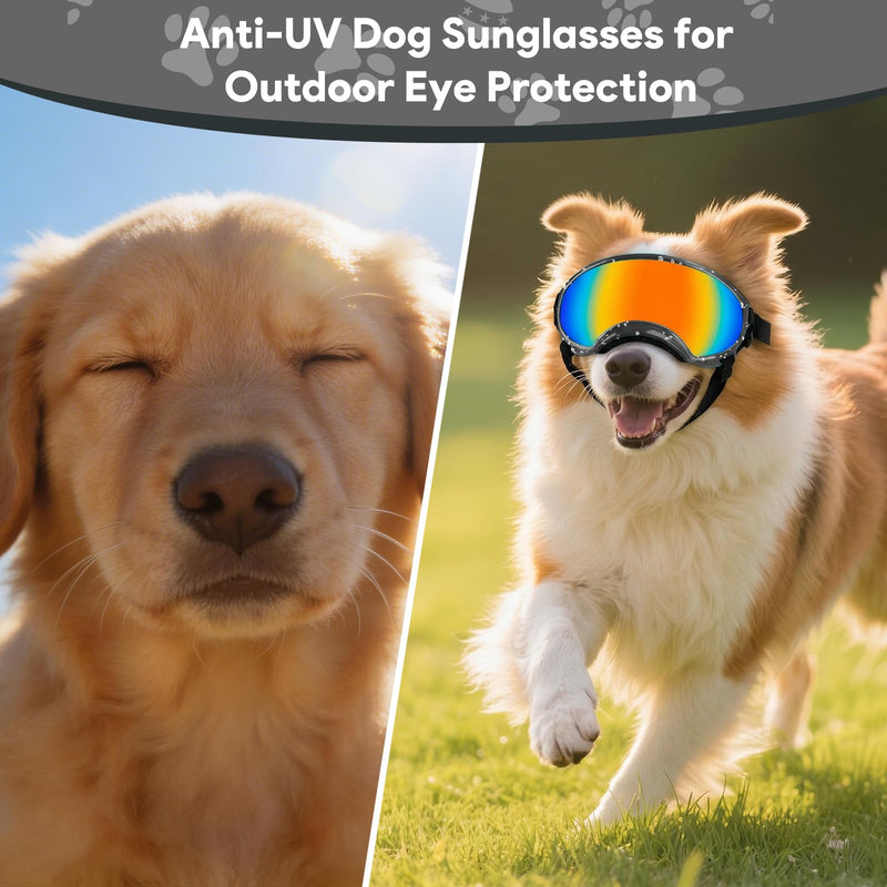 Dog Goggles for Medium Breed, Windproof Dustproof Anti-UV Sunglasses with Adjustable Strap & Soft Frame, Lightweight Breathable Design for Running Hiking Beach Outdoor Activities (Black) Black - PawsPlanet Australia