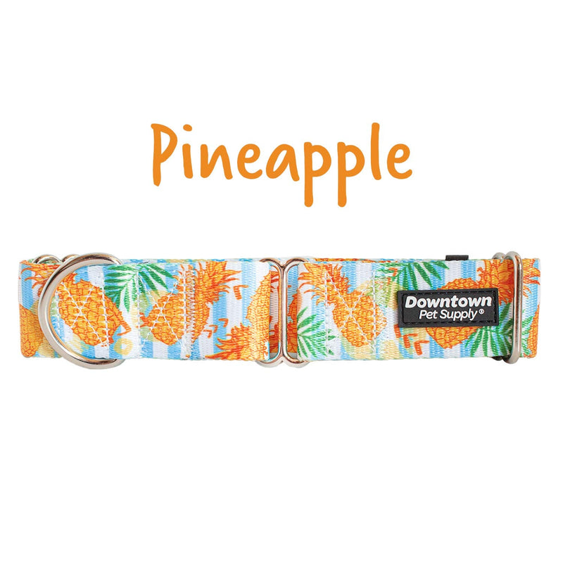 Downtown Pet Supply - Martingale Collar for Dogs - Dog Training Collar - Big, Wide & Thick Dog Collar - Escape-Proof, Weatherproof, Durable and Comfortable - Pineapple - Medium Dog Collar Medium: 11"-20" - PawsPlanet Australia