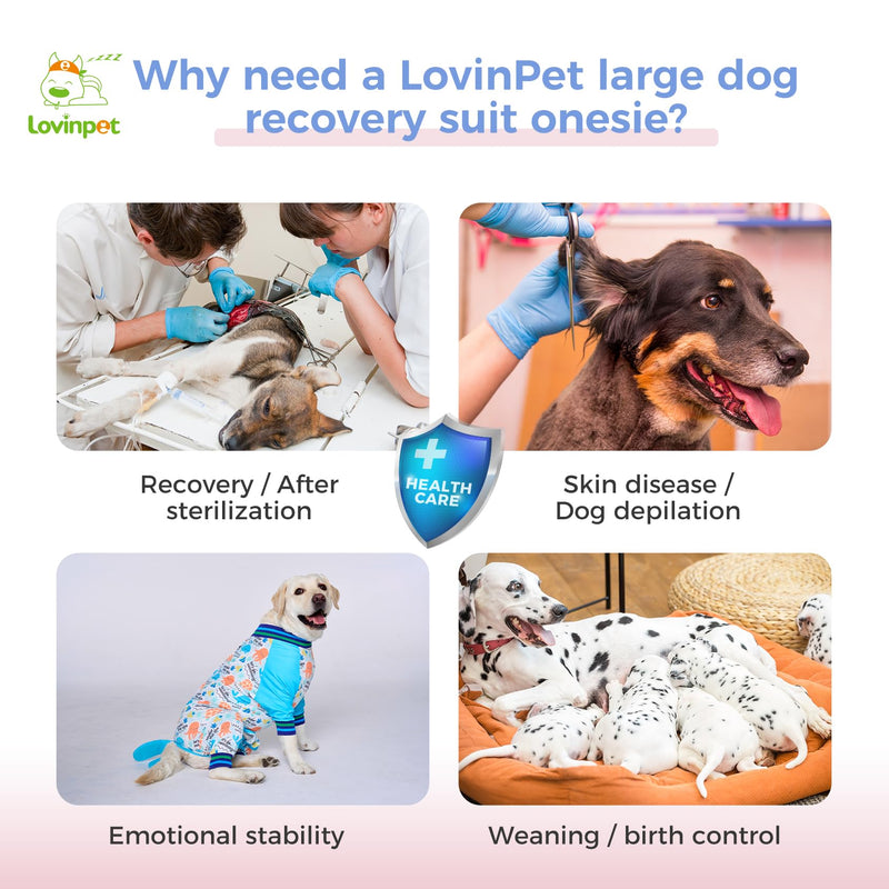 LovinPet Dog Recovery Suit - Medium Large - Dog Bodysuit for Abdominal Wound After Surgery Anti Licking Abdominal Wound Surgical Clothes Post-Operative Vest E-Collar Alternative,Whale,Blue,XXL XXL Blue collar/White - PawsPlanet Australia
