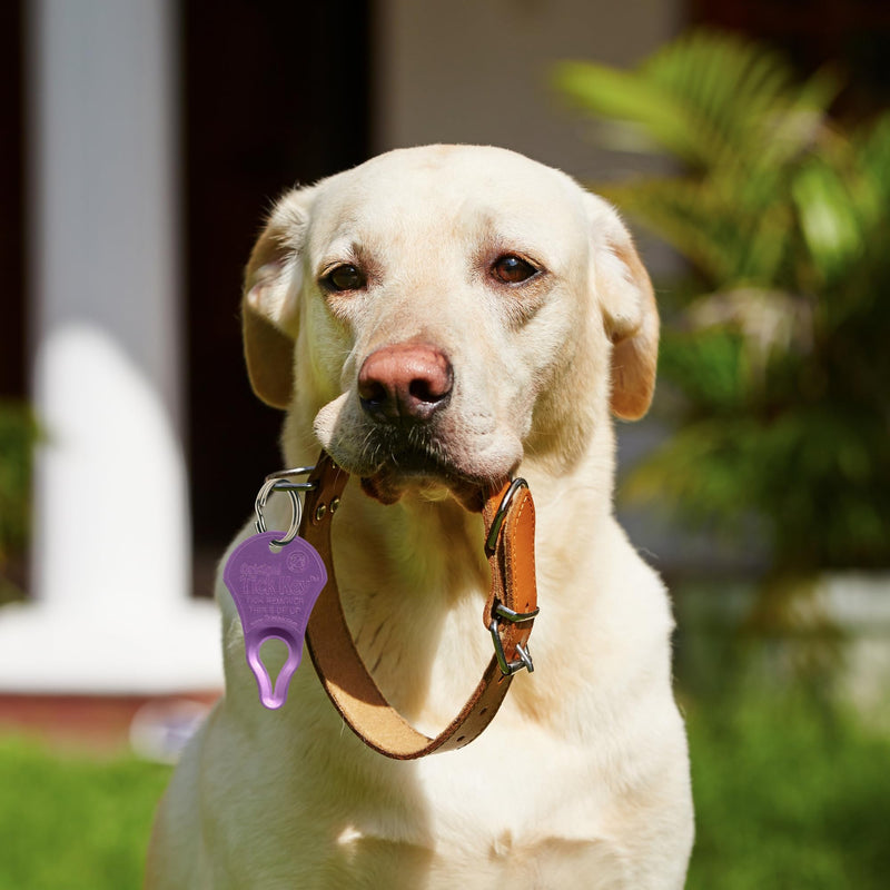 The Original Tick Key - Tick Detaching Device - Portable, Safe and Highly Effective Tick Detaching Tool 3 Pack (Assorted) Random Assorted - PawsPlanet Australia