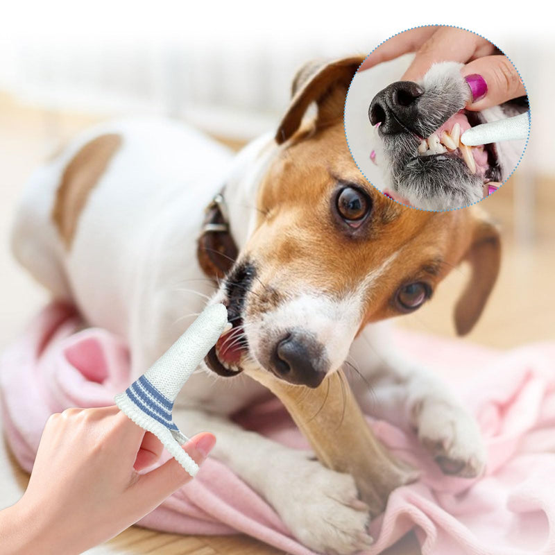 Pack of 6 Dog Toothbrushes, Dog Toothbrush for Small Dogs Dental Care Dog Tartar Remover Dental Care Cats Teeth Cleaning Dog with Lanyard, Suitable for Oral Care and Oral Hygiene