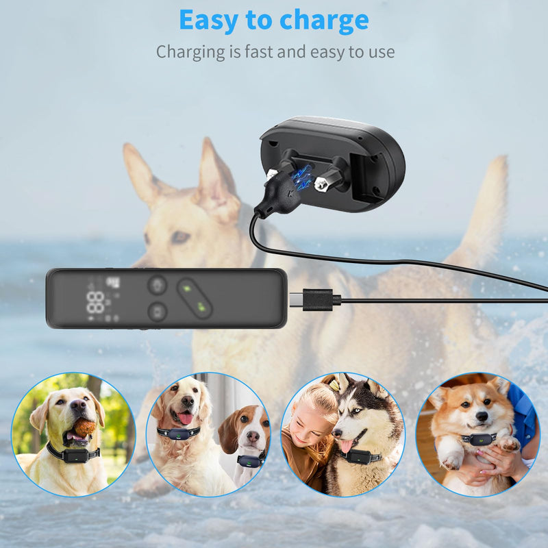 for Delupet Dog Training Collar Charger Replacement, MEROM Power Cable Compatible with Yawpet Dog Shock Collar, 2-in-1 Magnetic Charging and Micro USB Cable (Black) Black - PawsPlanet Australia