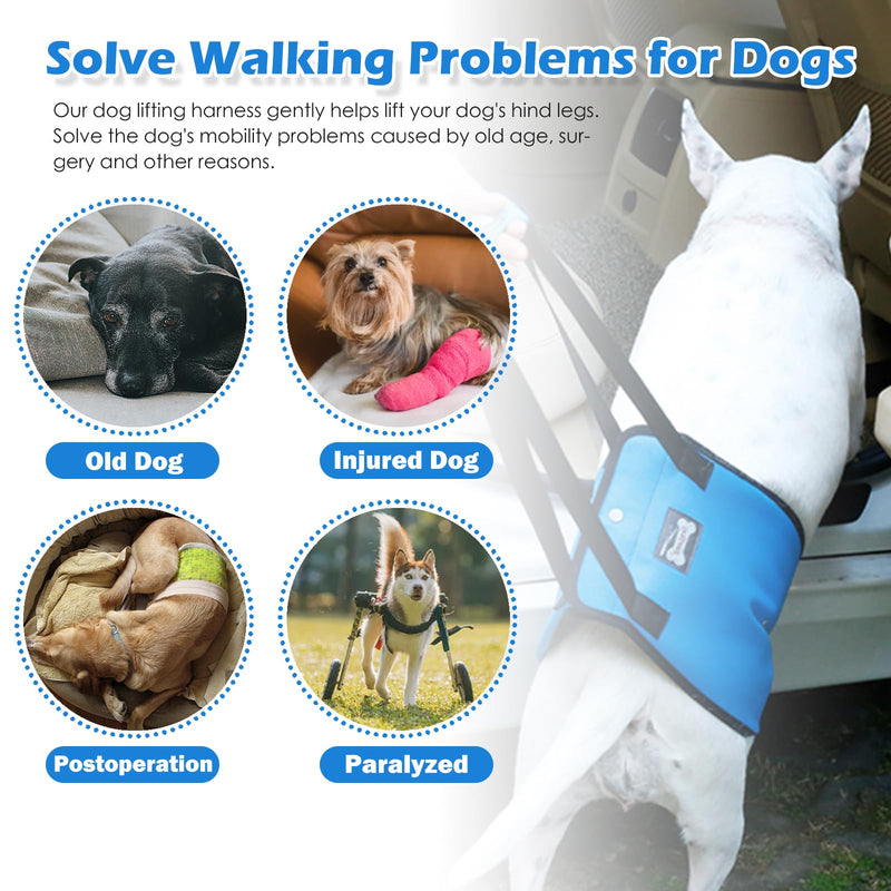 Dog Sling for Large Dogs Hind Leg Support, Dog Lift Harness with Handle for Lifting Back Legs for Weak Rear Legs, Soft Hind Leg Helps Senior, Injured, Disabled & After ACL Surgery (Blue, XL) Blue - PawsPlanet Australia