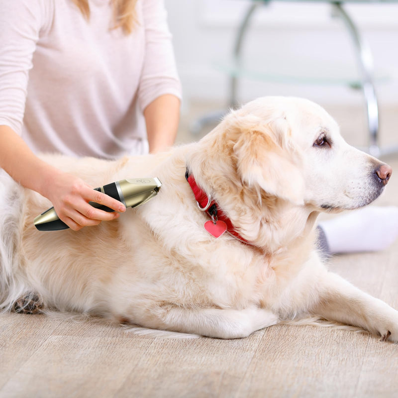 Dog Grooming Kit, Cordless Dog Clippers, Electric Shaving, Low Noise Rechargeable Dogs Hair Trimmer, with a Shaving Head for Feet, Suitable for Cats and Dogs, 2000MA - PawsPlanet Australia