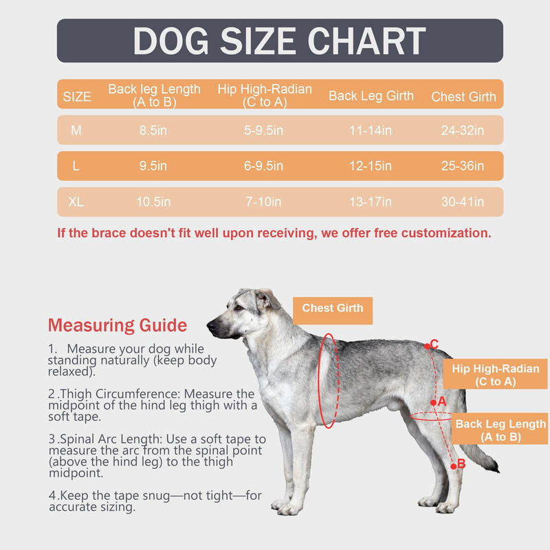 Dog Rear Leg Brace, Adjustable Hind Leg Splint Support for Torn ACL CCL, Luxating Patella & Hip Dysplasia, Breathable Non Slip Recovery Wrap for Medium Large Dogs M
