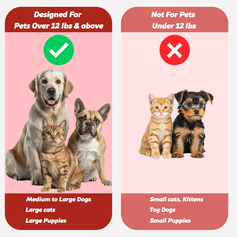 Pet Toothbrush for Dogs, Cats with Soft Bristles - Easy Teeth Cleaning & Dental Care, Non Slip Dual Head Dog Toothbrush for Medium & Large Pets, Toothpaste Not Included (Pack of 4(Red)) Pack of 4 (Red)