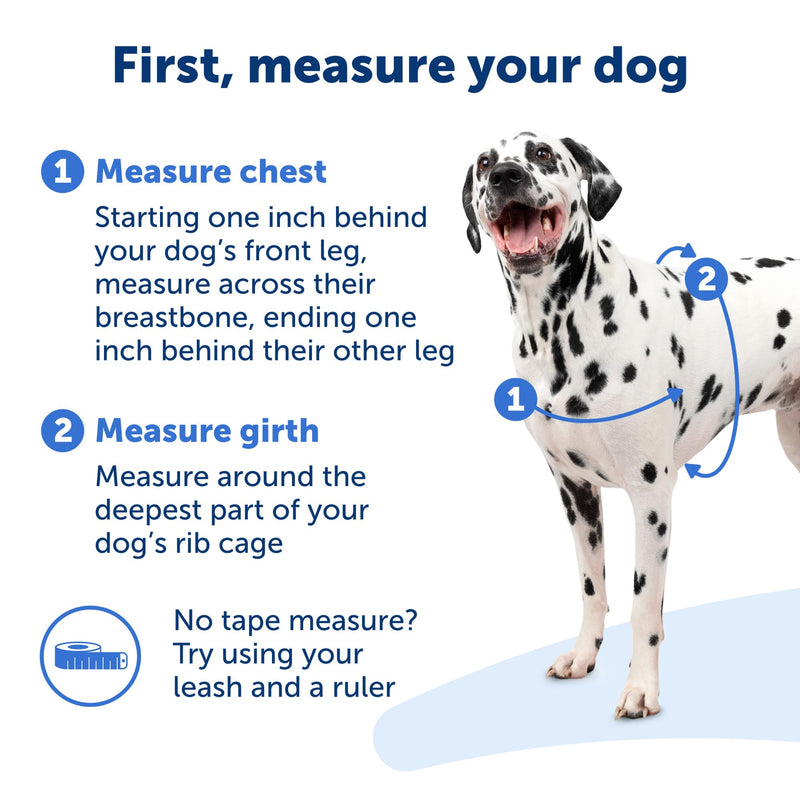 PetSafe Easy Walk No-Pull Dog Harness - The Ultimate Harness to Help Stop Pulling - Take Control & Teach Better Leash Manners - Helps Prevent Pets Pulling on Walks, Medium/Large, Raspberry/Gray - PawsPlanet Australia