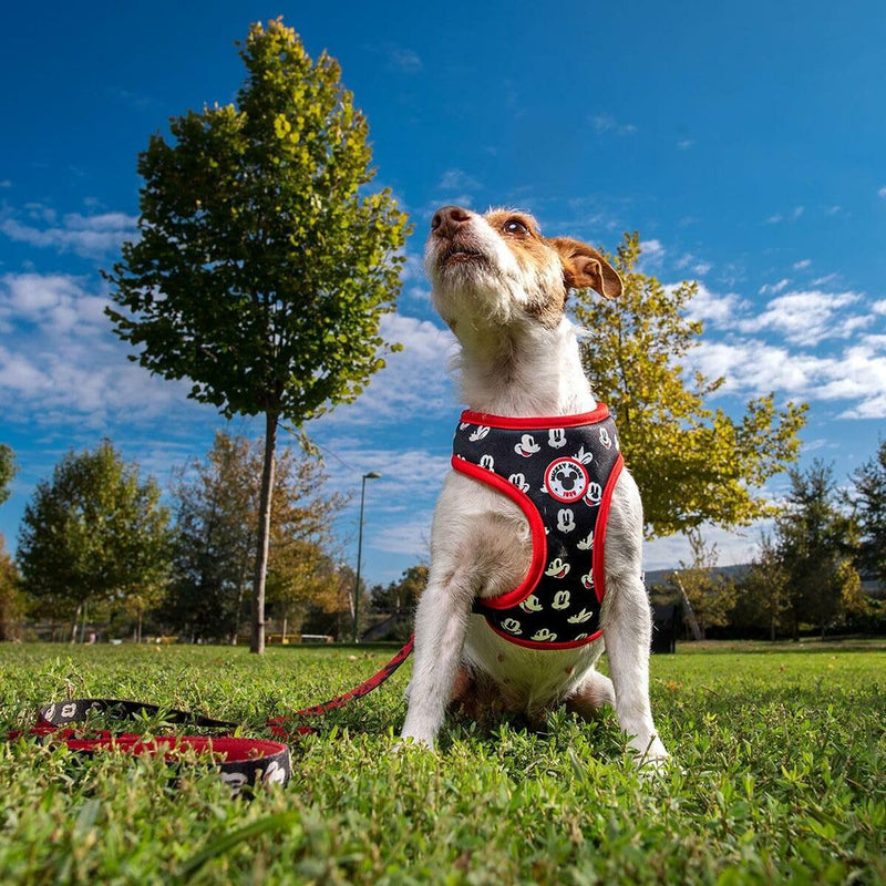 CERDÁ LIFE'S LITTLE MOMENTS - For Fan Pets | Mickey Mouse S-M Dog Harness - Official Disney License - PawsPlanet Australia