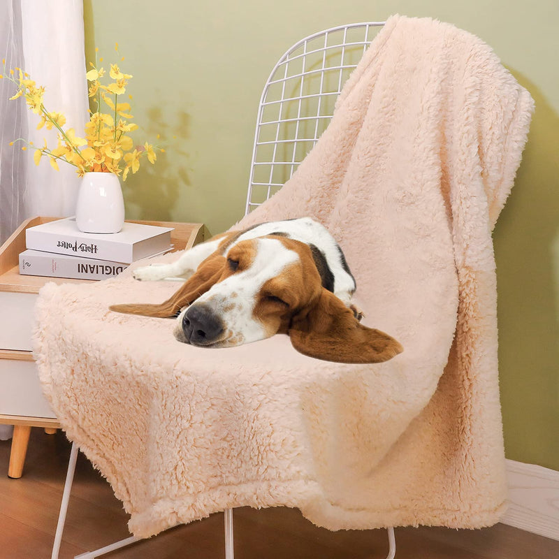 2 Pack Dog Blanket for Large Size Dogs Cats Soft Sherpa Fleece Pet Blanket Throw for Sofa, Couch Thick Durable Pet Bed Cover, Floor Mat(Large (4047"), Gray, Beige Blanket) Grey+beige - PawsPlanet Australia