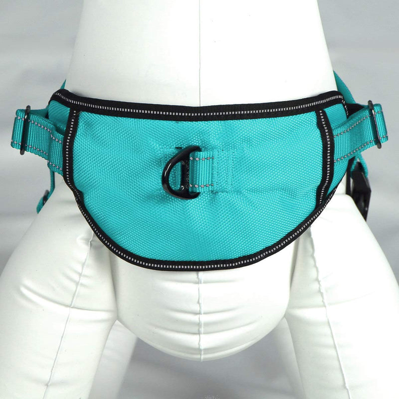 Max and Neo Passport Reflective Dog Harness - We Donate a Harness to a Dog Rescue for Every Harness Sold (Small (16"-22" Chest Girth), Teal) SMALL (16"-22" CHEST GIRTH) - PawsPlanet Australia