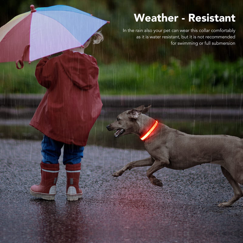 Light Up Dog Collars, LED Dog Collar Rechargeable Waterproof, Full Adjustable Lighted Dog Collar, Glow Dark Dog Collar Light for Night Walking for Small Medium Dogs (Red) Red - PawsPlanet Australia