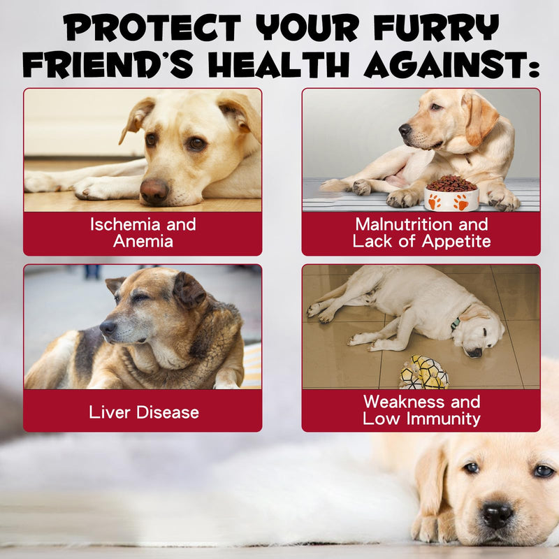 Iron Supplements for Dogs, Liquid Iron for Dogs with Folate and B12 Supports Anemia, Supplement for Anemia in Dogs, Promotes Blood Health 2 oz - PawsPlanet Australia