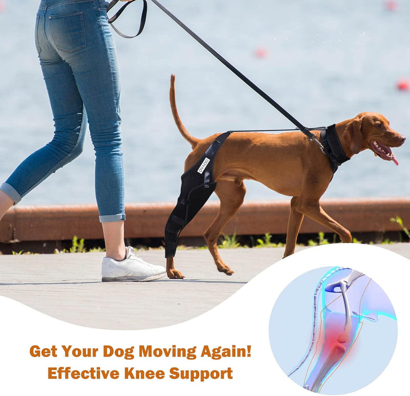 Dog Knee Brace for Torn ACL Hind Leg, Cruciate Ligament Injuries, Patella Dislocation, Double Straps and Comfortable Dog Leg Braces for Back Leg Support (Left- X Large) Left- X large - PawsPlanet Australia