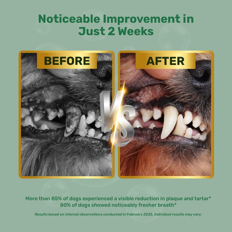 Dog Dental Powder - Plaque Off Powder - Dog Teeth Natural Cleaning Powder - Dogs Breath Freshener - Enzymes & Probiotic with Tartar and Plaque Off - Pets Tooth Cleaning- 150g/5.3 oz - PawsPlanet Australia