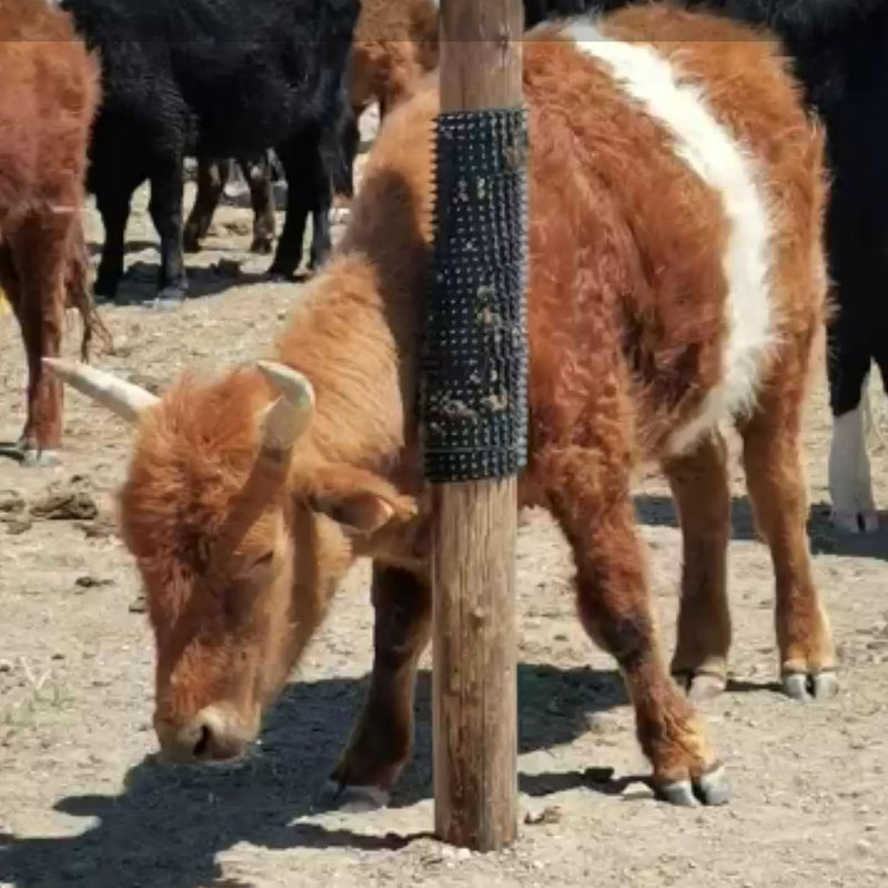 Cattle Scratcher - Livestock Scratching Brush | Horse Brushes Animal Scratch Itch Relief | Cattle Soft Touch Itch Post Pad For Livestock, Horse Grooming, Cattle, Sheep（33.8x42cm） - PawsPlanet Australia