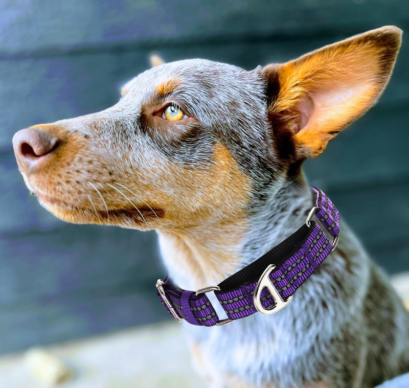 Martingale Collar for Large Dogs with No Buckle,Reflective Nylon Padded Comfort Safe Dog Collar for Training,Nighttime Walking & Overexcited Pulling Control Dogs,Purple L Z L (Neck 16"-22") - PawsPlanet Australia
