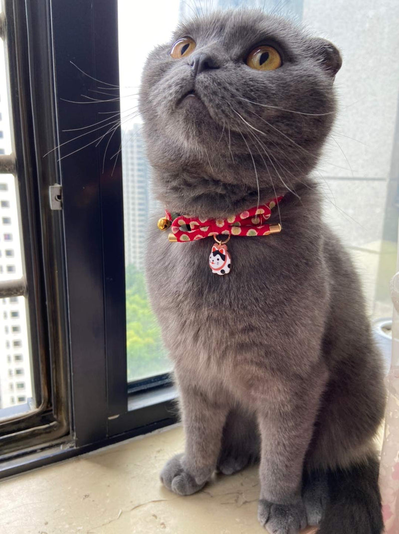 PetSoKoo Cute Bowknot Cat Collar with Bell. Japan Colorful Polka Dots Pattern. Lucky Cat Charm. Safety Breakaway, Soft, for Girl Boy Male Female Adult Cats Small (6-9.5 Inches,16-24cm) Pink - PawsPlanet Australia