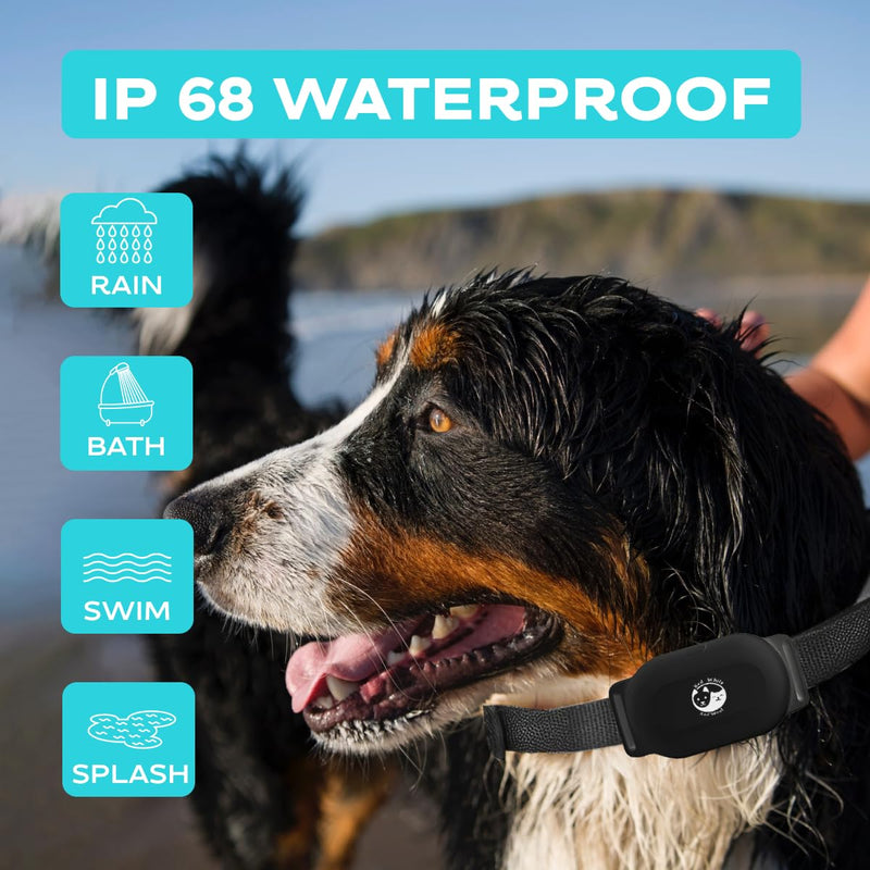Dog Shock Collar with Remote, Rechargeable Training Shock Collar for Small Medium Large Dogs 1000Ft Control Range, Waterproof Electric Bark Collar with Beep, Vibration, Safe Shock Black (Black) - PawsPlanet Australia