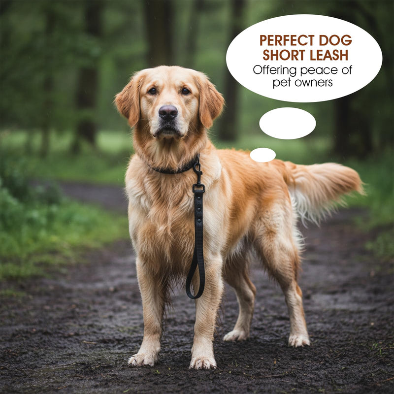 1 Pc Short Leather Dog Leash, Waterproof Dog Leash Black Training, Heavy Duty Handle Traffic Leashes for Medium Large Dogs Training - PawsPlanet Australia