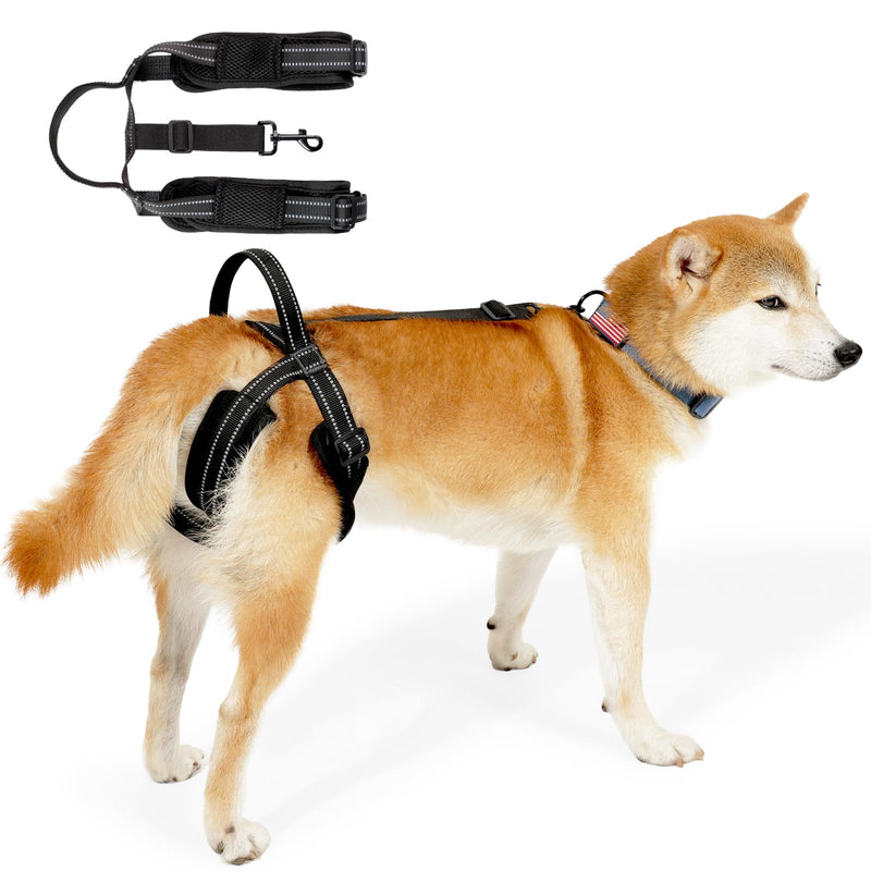 ROZKITCH Pet Dog Support Harness Rear Lifting Harness for Back Legs Reflective Dog Sling Vet Approved for Old Helps with Poor Stability Hind Legs, Joint Injuries Elderly Arthritis ACL Rehab Black L L(Leg Girth: 21.2-27.5") - PawsPlanet Australia