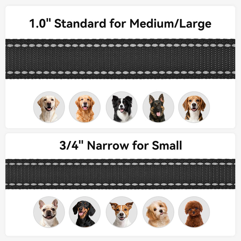 Joytale Dog Leash, 6 FT Double-Sided Reflective, Padded Handle Nylon Heavy Duty Leashes for Medium & Large Dogs Walking, Black 6 ft Standard - PawsPlanet Australia
