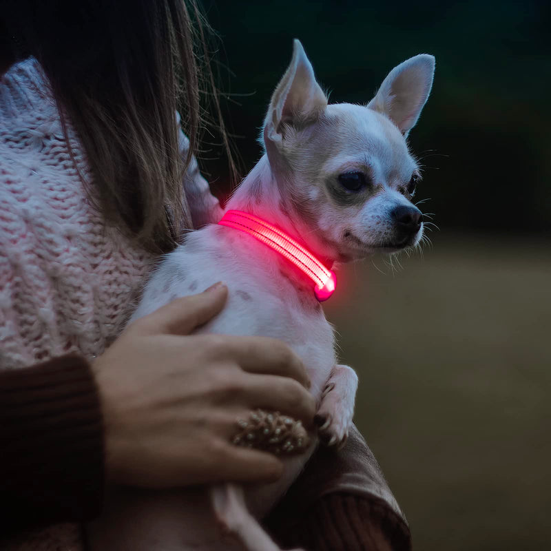 Visinite Light Up Dog Collars, Lighted Dog Collars Rechargeable Waterproof, Dog Glow Collar for Pet Safety Dog Lights Night Walking, Fully Adjustable Led Dog Collar for Small Medium Large Dogs Pink - PawsPlanet Australia