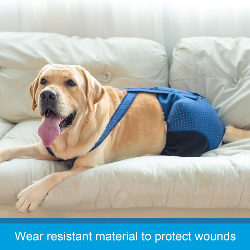 Coodeo Dog Recovery Suit, Cone Collar Alternative, Abrasion Resistant Dog Recovery Rear Sleeves, Washable 2.5mm Thick and Waterproof, Pet Wounds Prevent Licking, Biting (2XL, Blue) XX-Large - PawsPlanet Australia