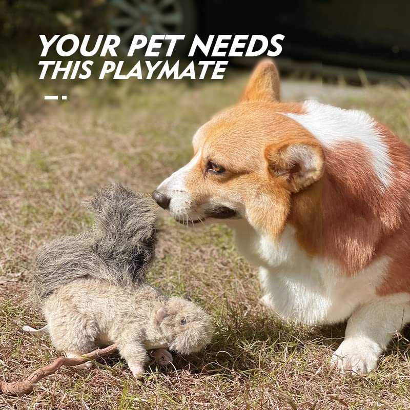 ALL FOR PAWS Squeaky Dog Toys,Animal Plush Dog Toy,Stuffed Dog Toys,Puppy Toys for Teething Small Dogs Classic Squirrel(S) - PawsPlanet Australia