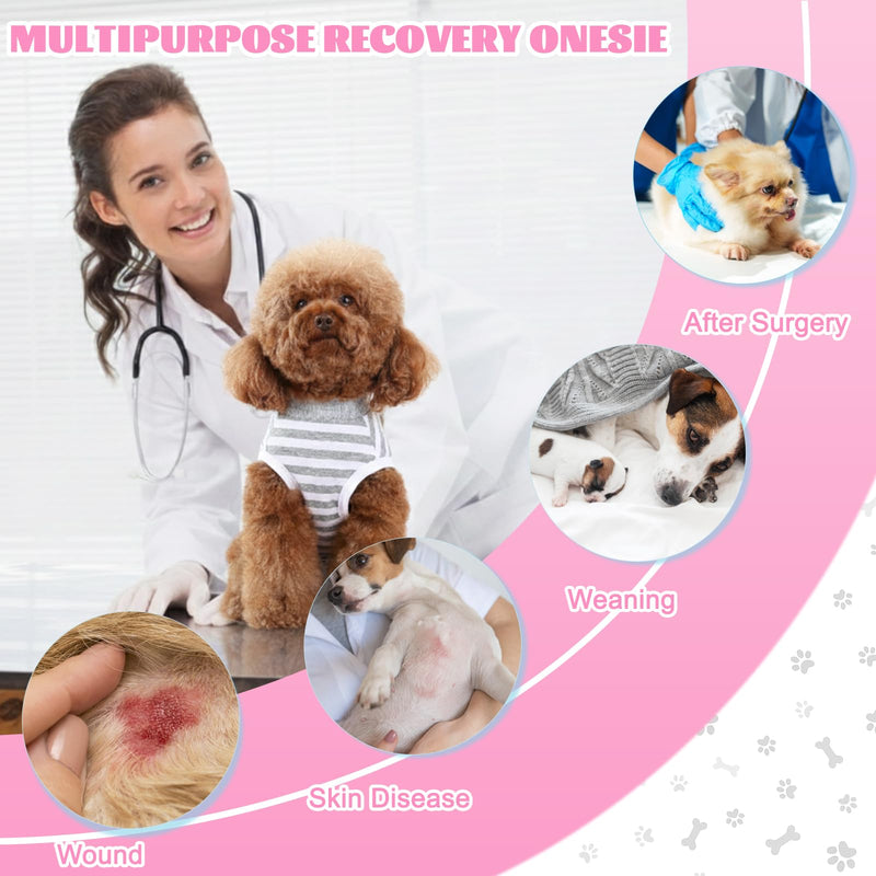 Dog Surgery Recovery Suit,Surgical Recovery Suit for Female and Male After Surgery, Dog Surgical Shirt,Puppy Onesie Bodysuit for Small Medium Dogs and Cat (Gray/White, S) Gray/White
