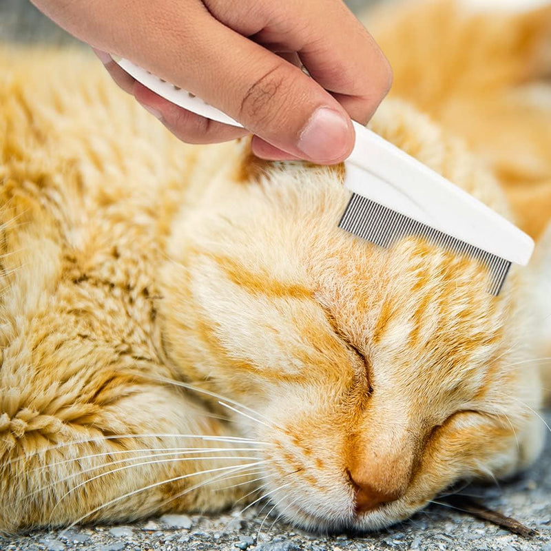 Flea Comb for Dogs - Safe and Effective, Non-Slip Handle for Grooming, Available in Large and Small Sizes - PawsPlanet Australia