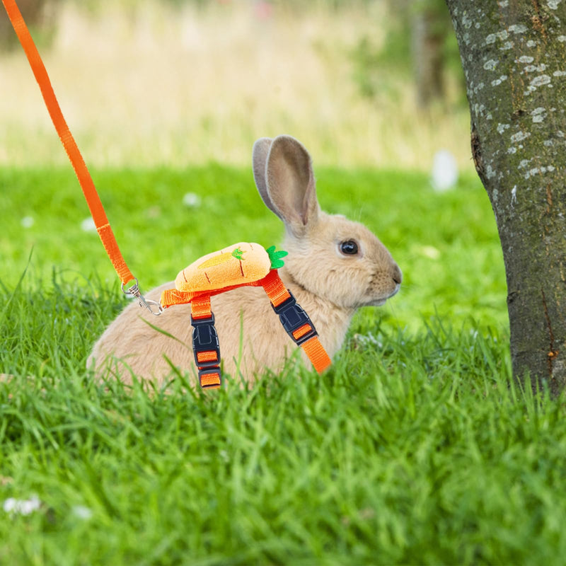Bunny Harness and Leash for Rabbits,2 Pack Adjustable Bunny Harness,Cute Vest Harness and Leash Set, for Rabbit,Kitten, Puppy, Pig and Small Pet Animals Carrot, Strawberry S - PawsPlanet Australia