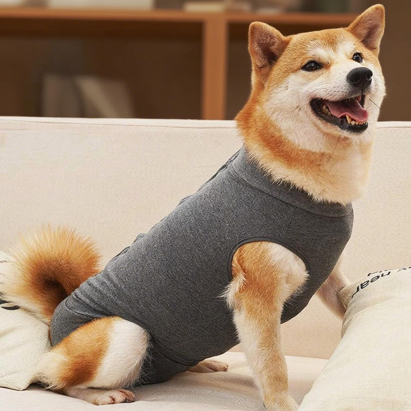 Dog Recovery Suit Female, Grey Surgical Recovery Suit Post Op with Button Design, Breathable Dog Vest Body Suits After Surgery, Anti-Lick Wound Protection for 4-9KG Pets