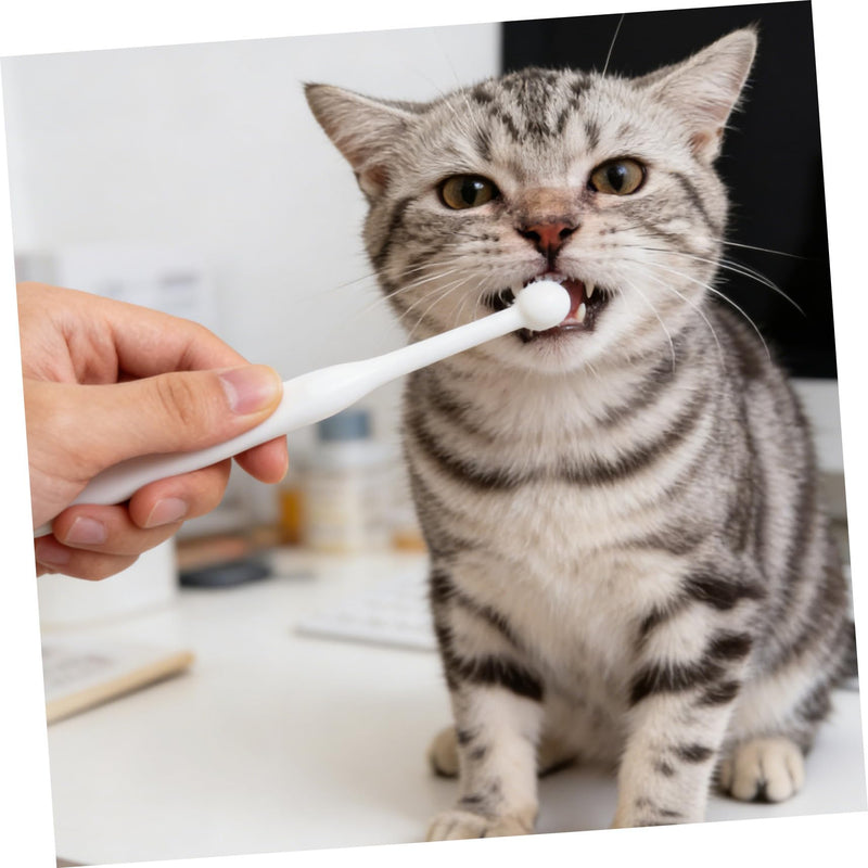 Supvox Round Head Toothbrush with Soft Bristles for Pets, Smooth Bristle Toothbrush for Pet Cleaning, Practical Puppy Toothbrush for Cats and Puppies