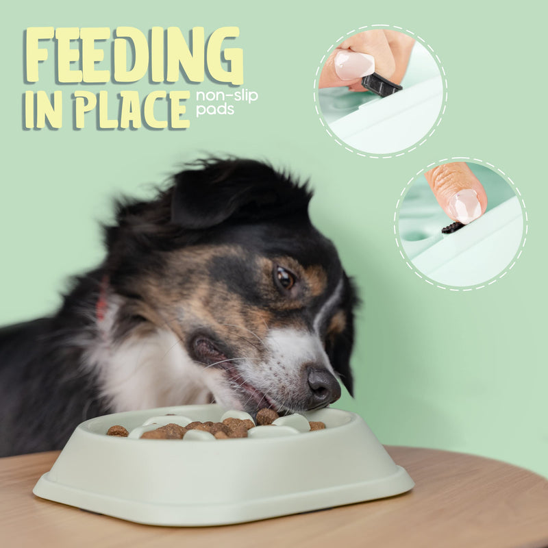 Slow Feeder Dog Bowl (Small/Medium Dogs) - Anti Choke, Anti Bloat - Medium Dog Bowl Slow Feeder Slow Feeder Dog feeders to Slow Feeding Dog Bowls (Mint Green) Mint Green - PawsPlanet Australia