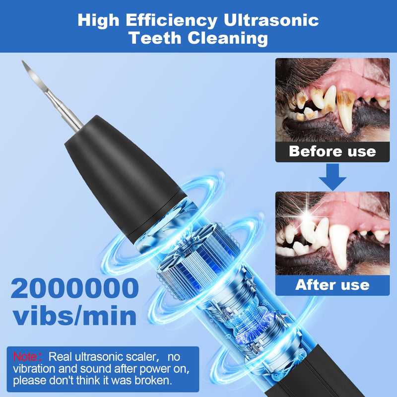 Dog Tooth Brushing Kit,Dogs Teeth Cleaning Kit with Light,3 Modes Doggie Plaque and Tartar Remover for Teeth,Low Noise Dog Teeth Cleaner and Dental Care,Black - PawsPlanet Australia